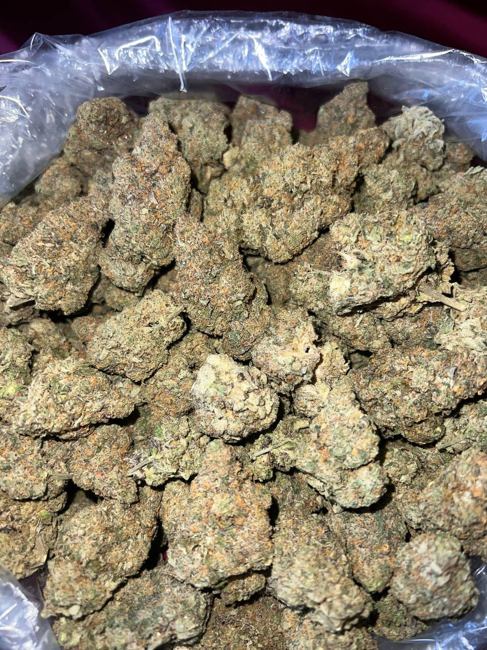 Black Cherry Gelato 1LB