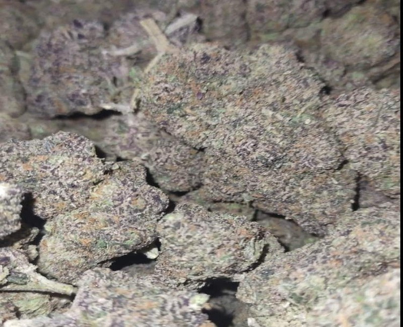 Kash Packs Black CupCake Runtz