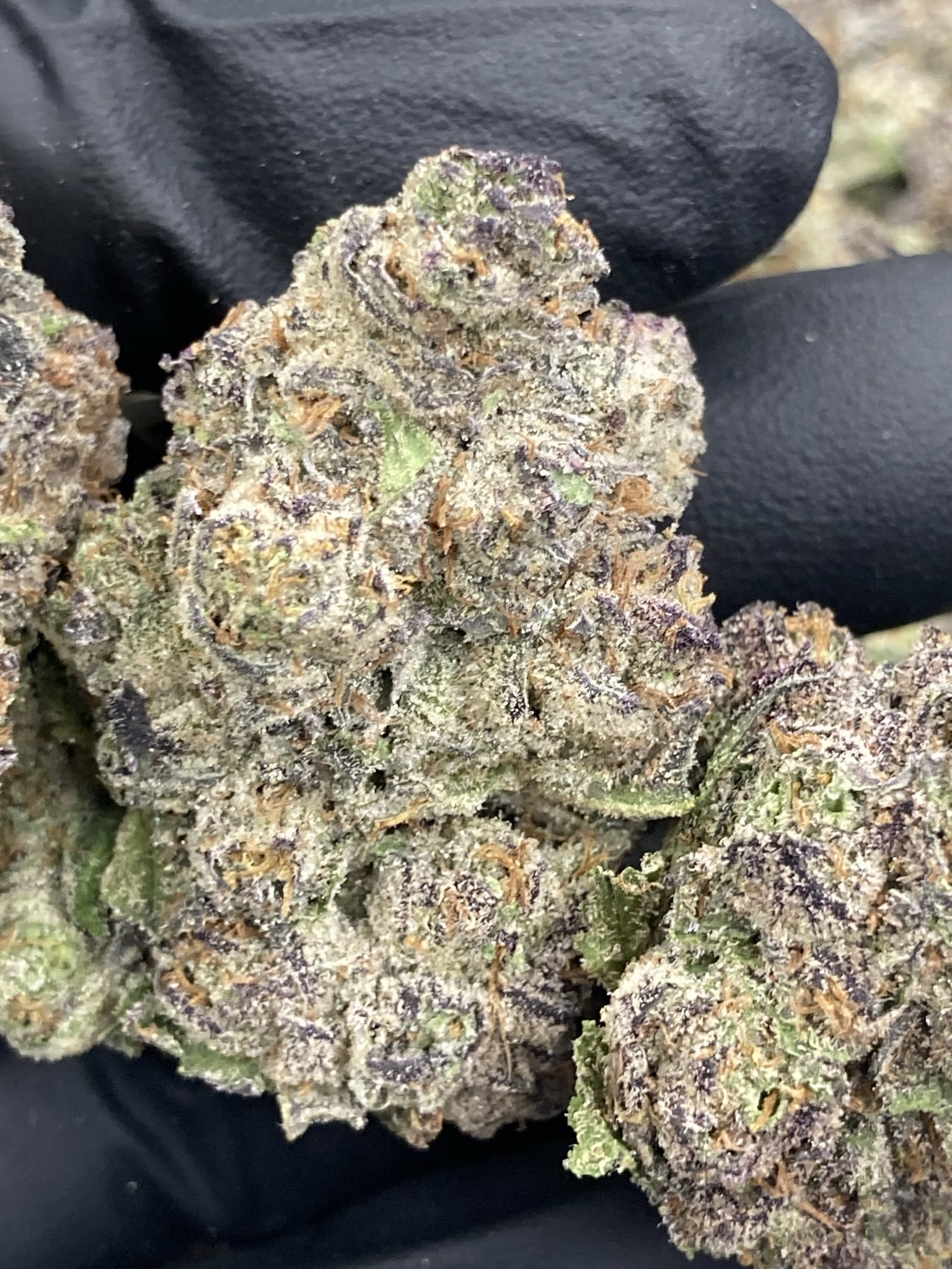 Blue Candy Nerds