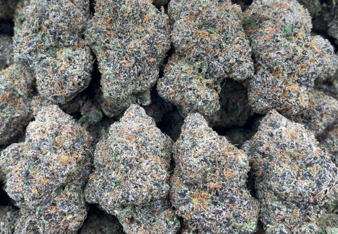 Indoor Lcg 🍋🍭🍒