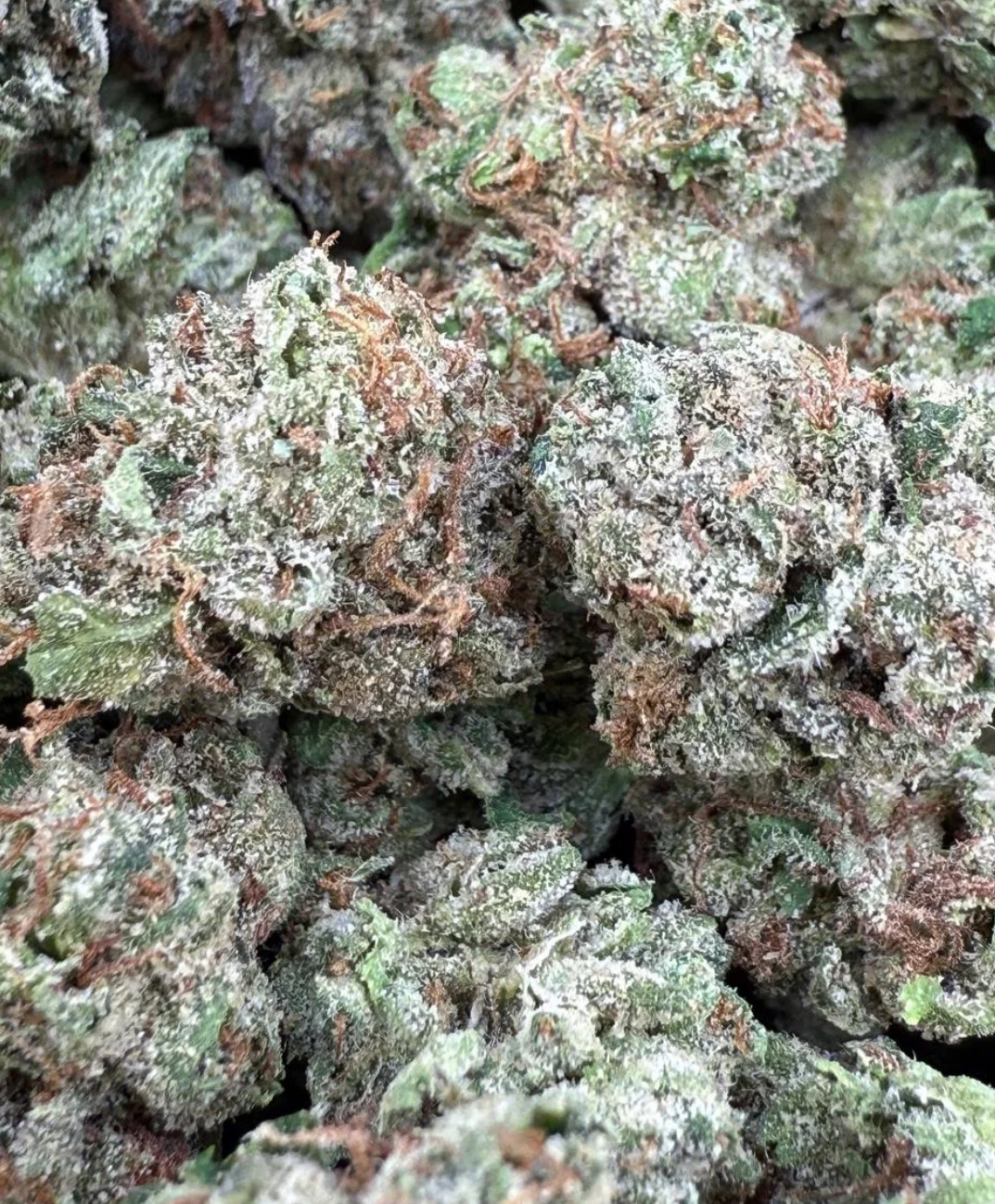 Gorilla Glue Smalls 🦍