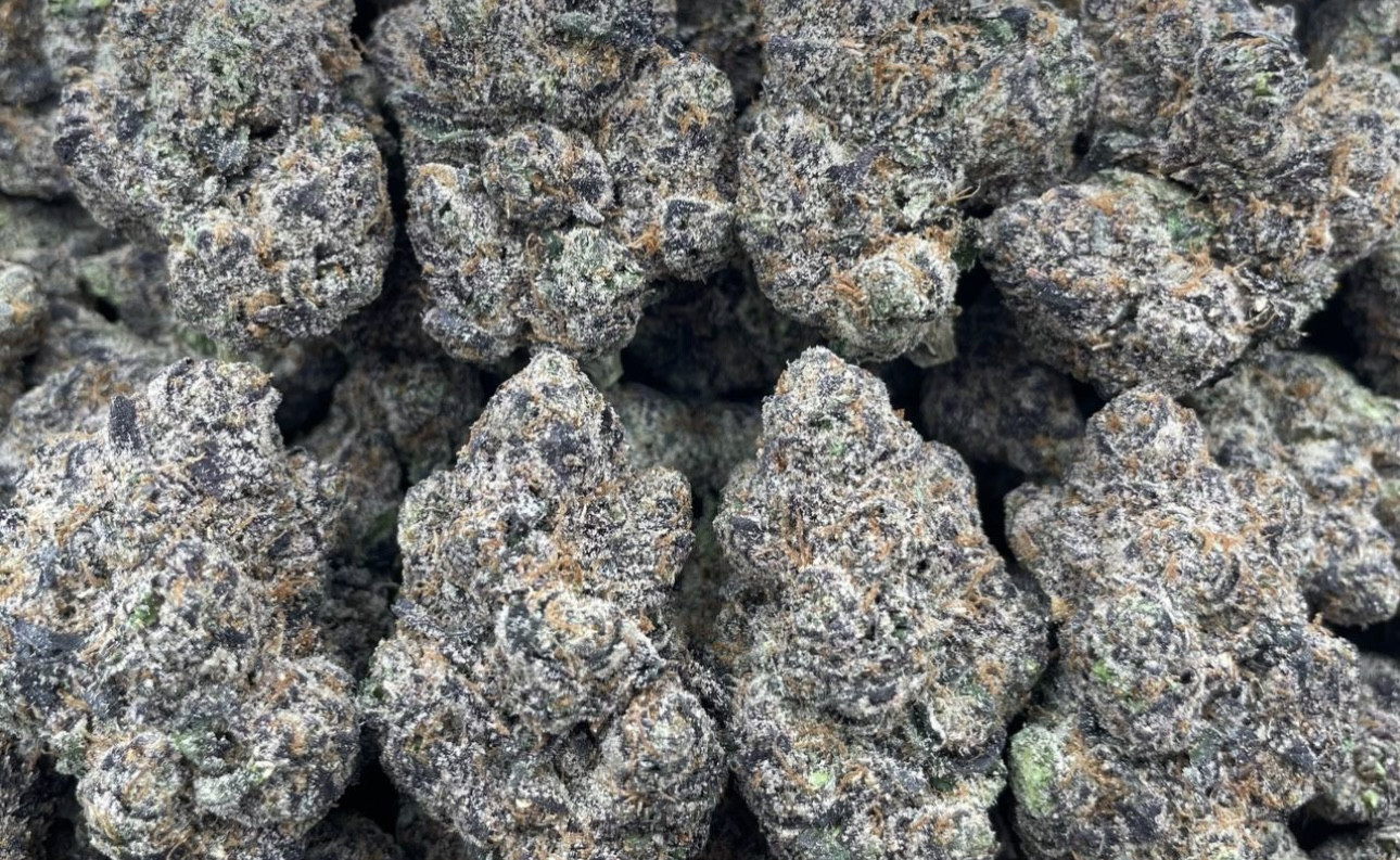 Juicey Cube 🧊🍬