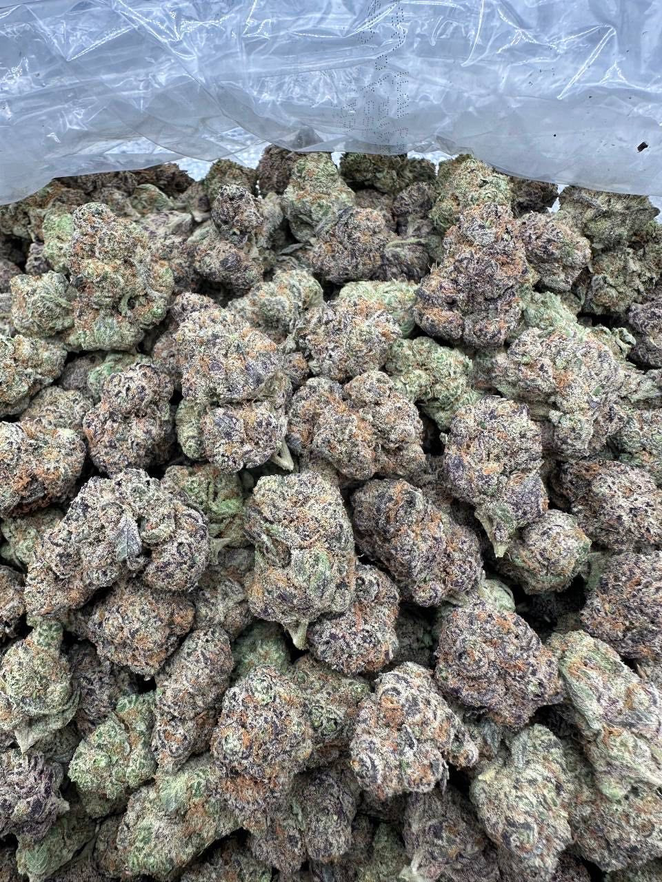 Blueberry Runtz 🫐🍭