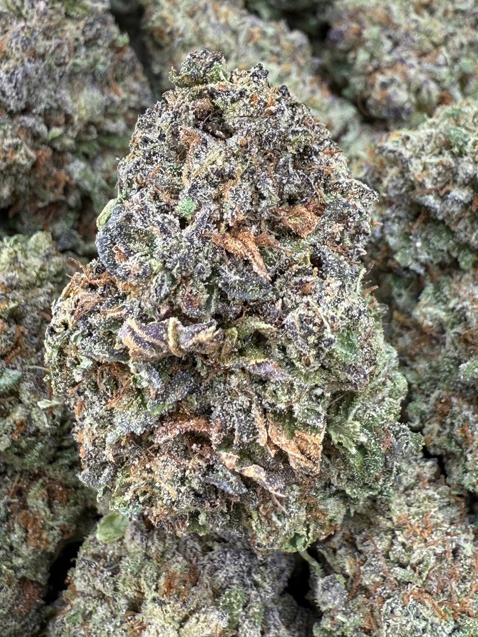 Ice Cream Cake 🍨🎂