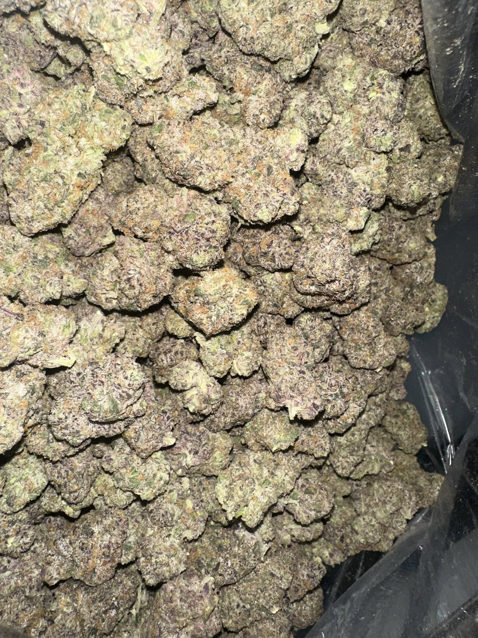 Lemonade Gelato 🍭🍋