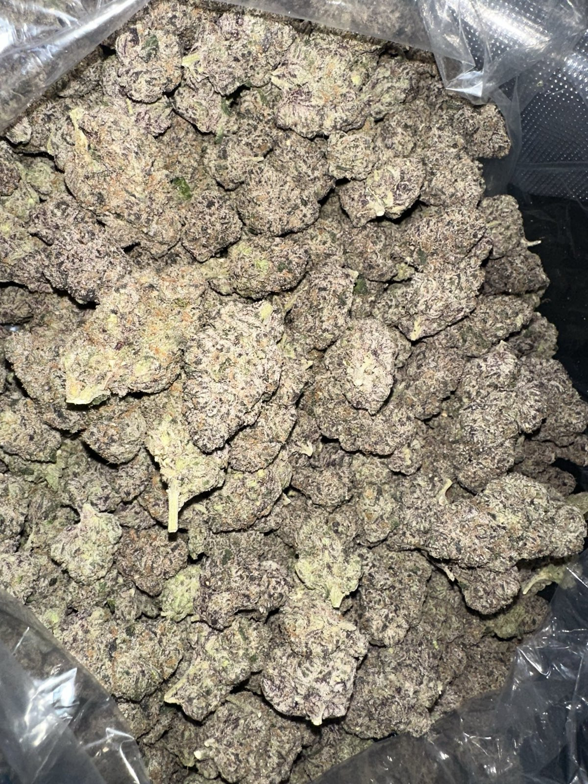 Cherry Berry 🍒🍓🫐