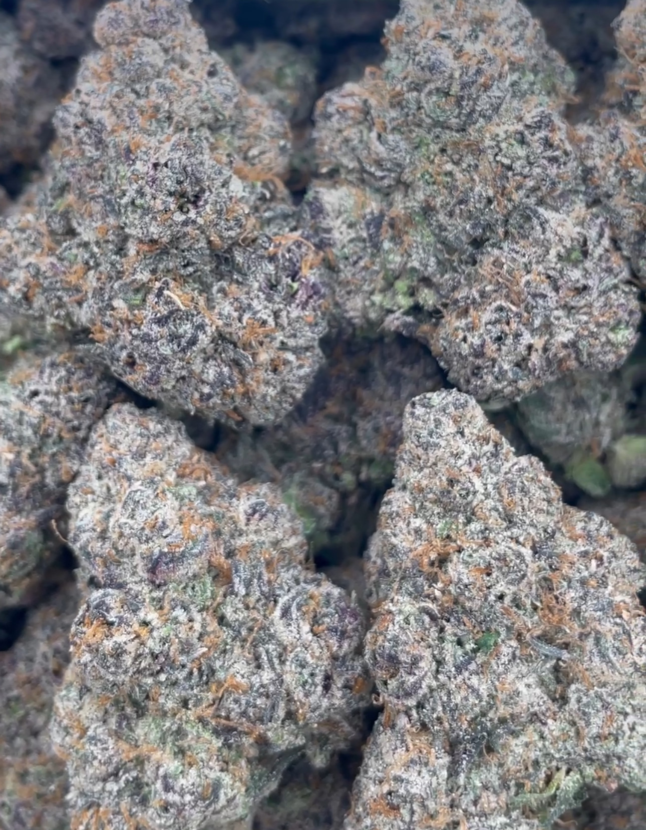 Bolo Runtz 🤯🧇🍬