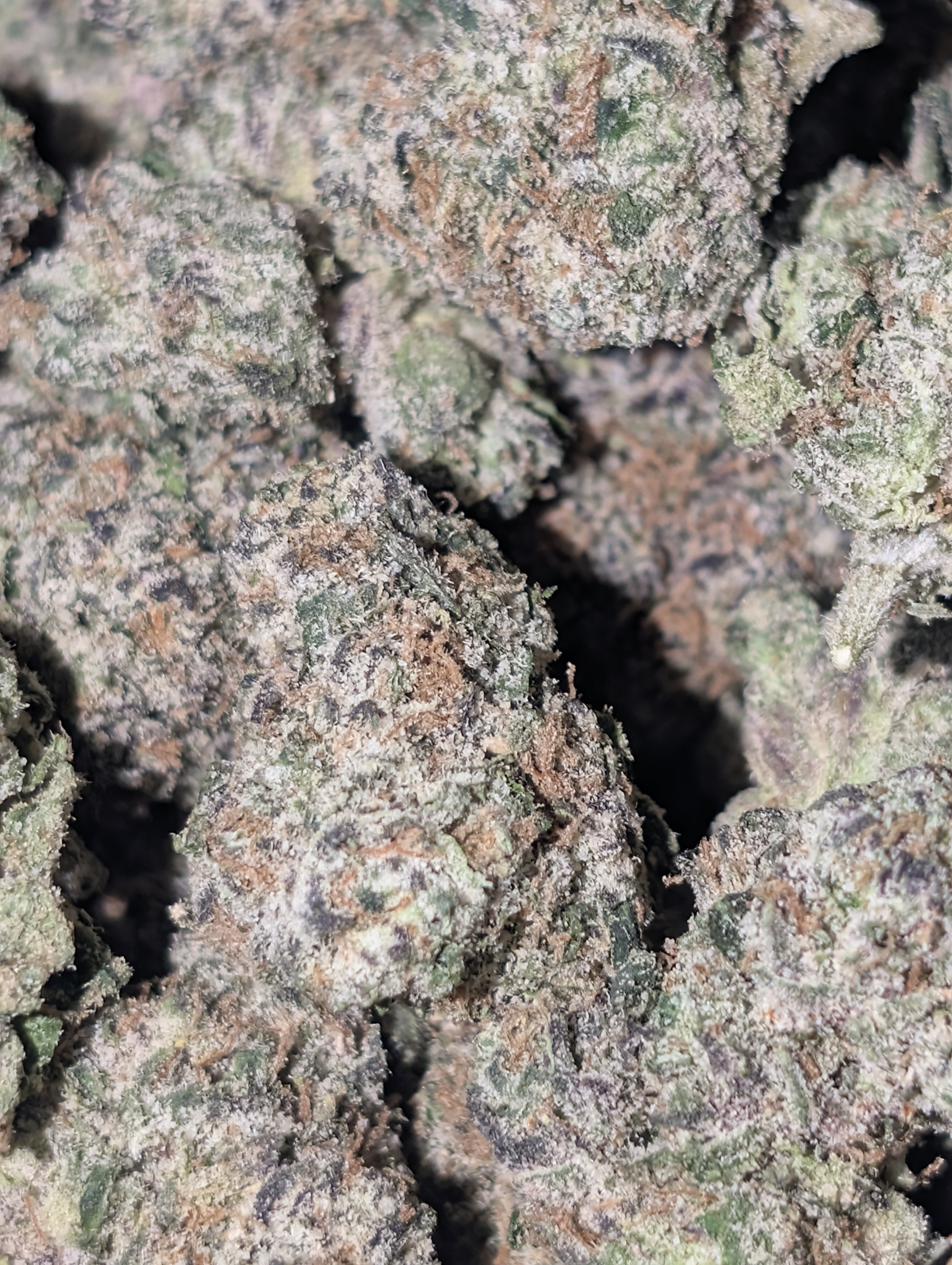 Mystery airheads 🤯