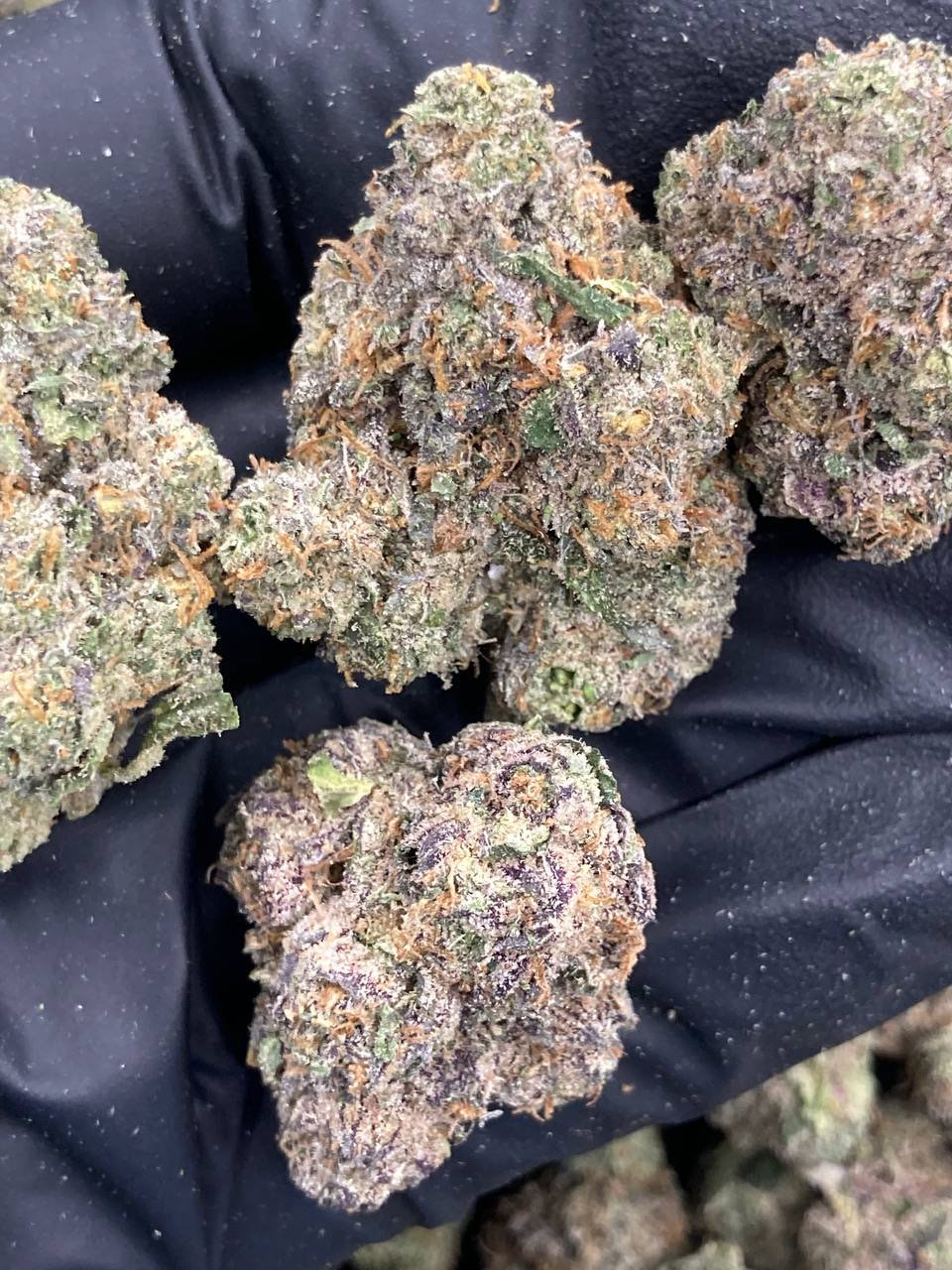 Bubbles Candy 🫧🍭