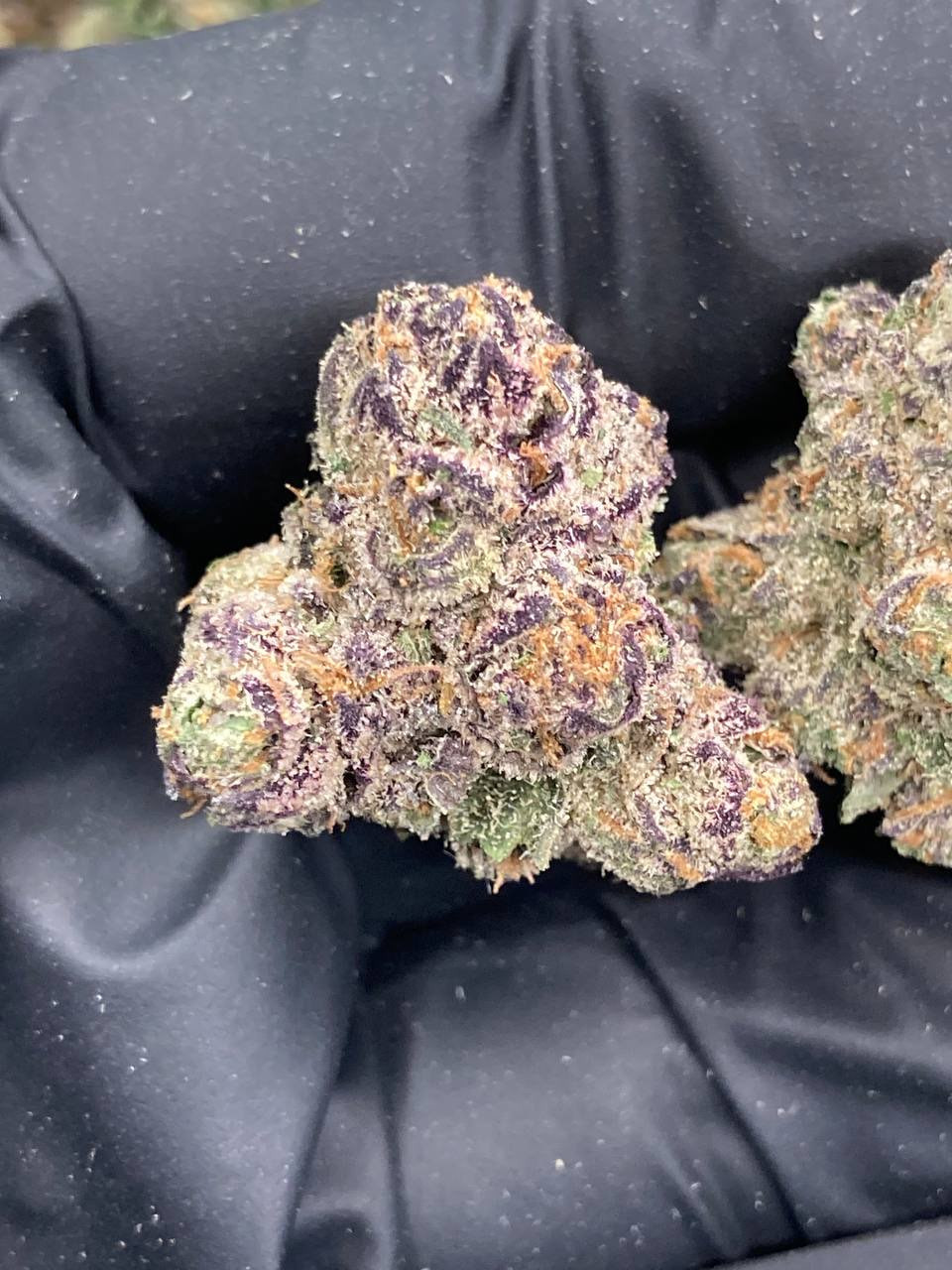 Martian Candy 🍭👽