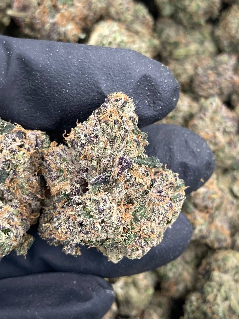 Super Lemon Pop🍋🤯