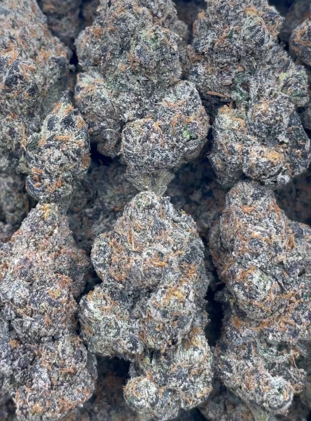 Qp/Cherry Sour Punch Bites 🍒🫦