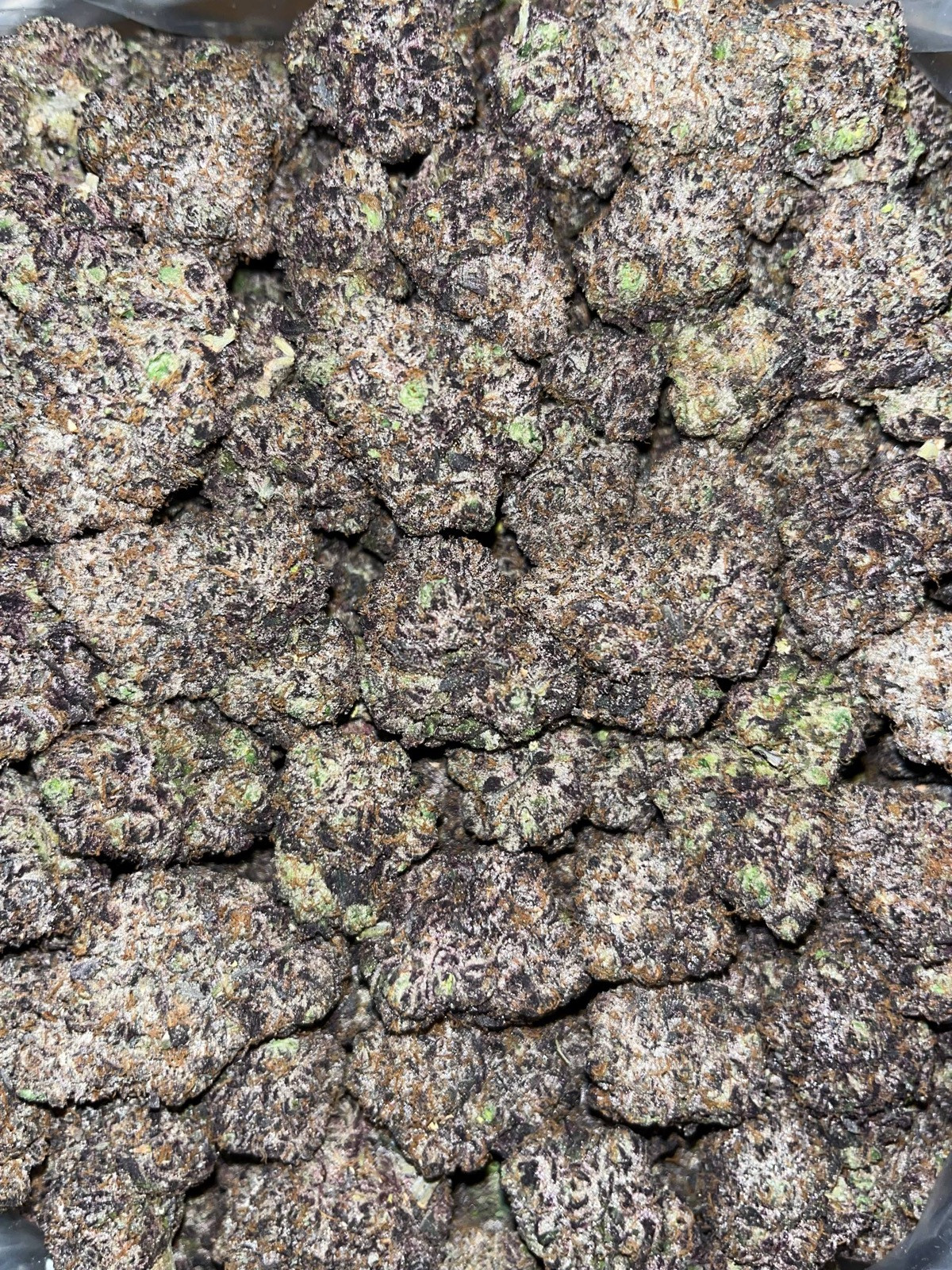 Purple gelatti 🍇🧞