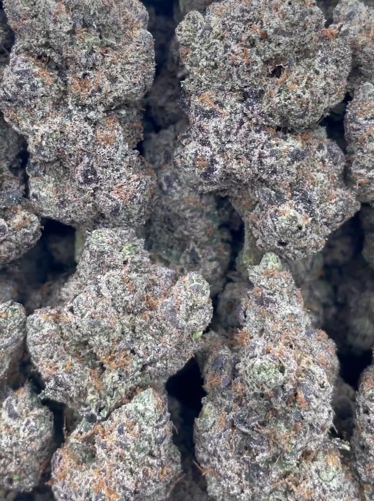 Juicy drop gunballs 🍬🫧