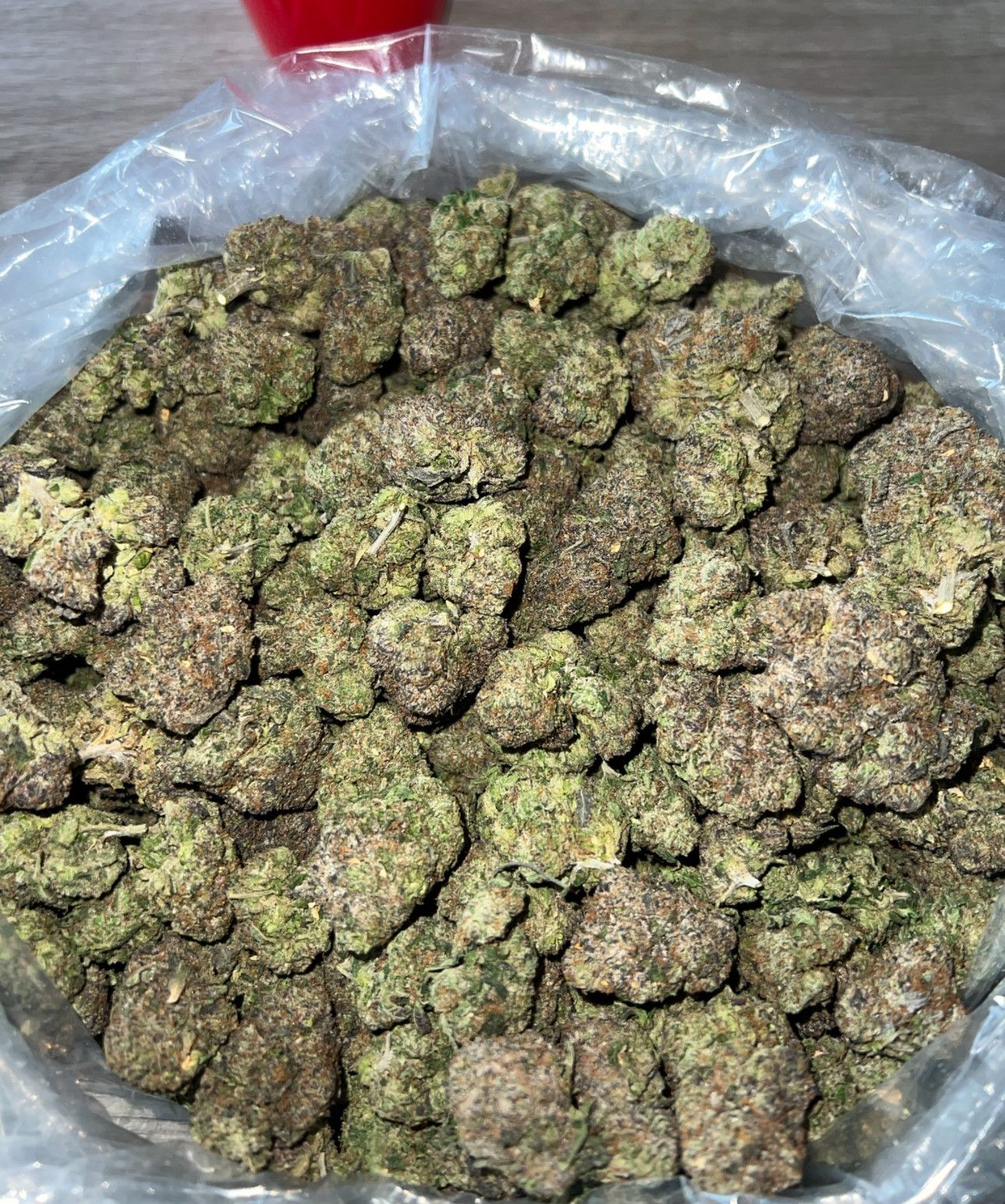 ADL 🥶🍭🥶🍭🥶🍭🥶🍭