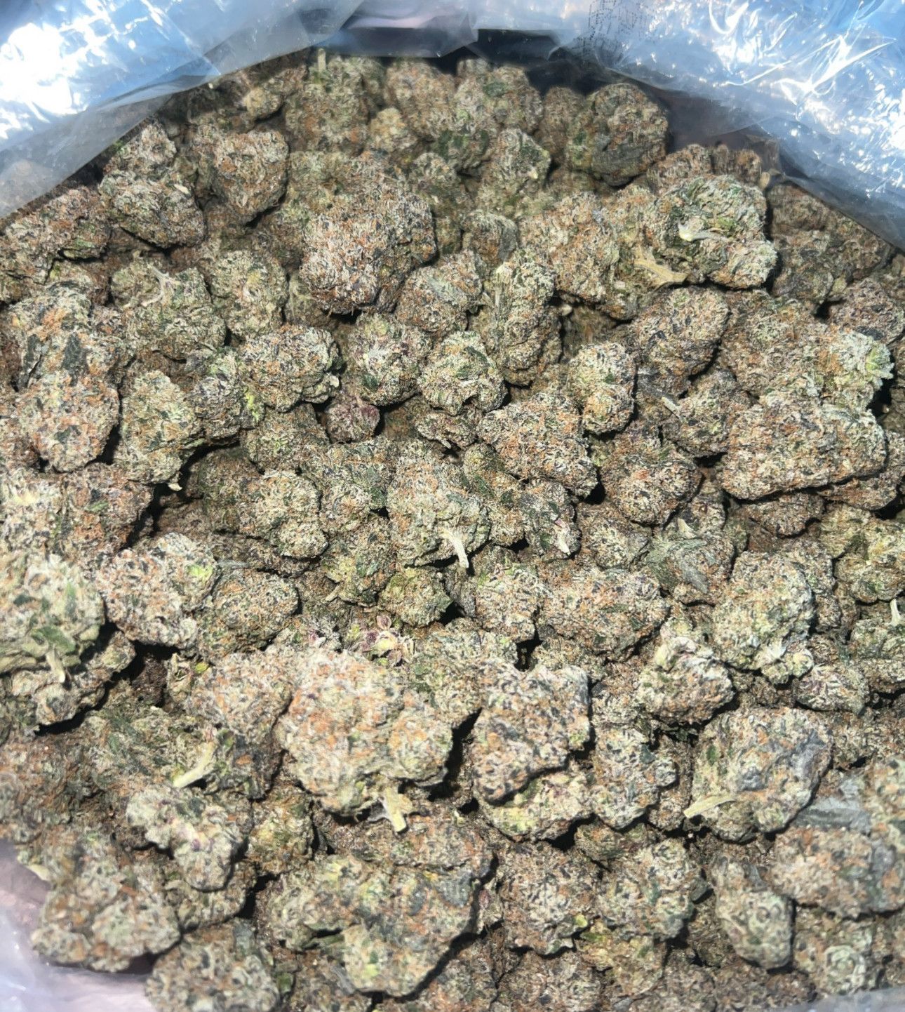 Lcg ADL 🍭🥶⛽️🍭🥶⛽️