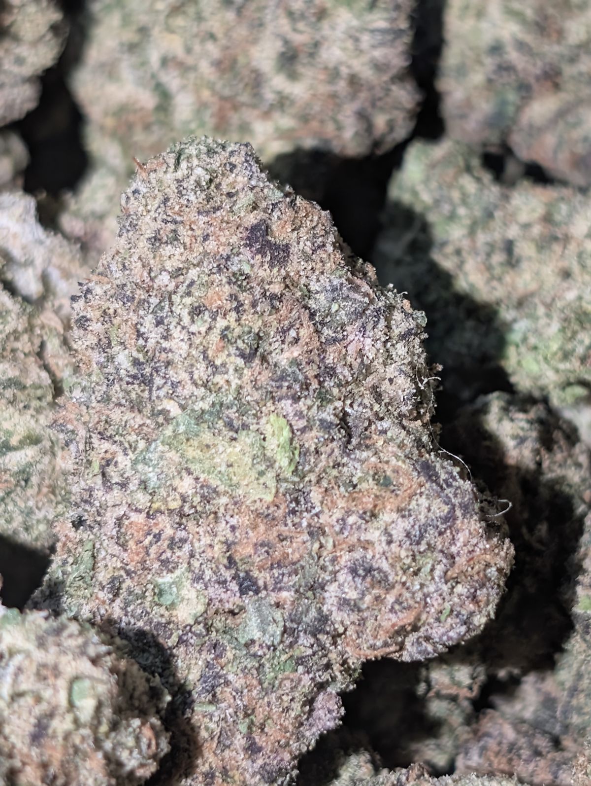 Cherry 🍒 blaster 🚀