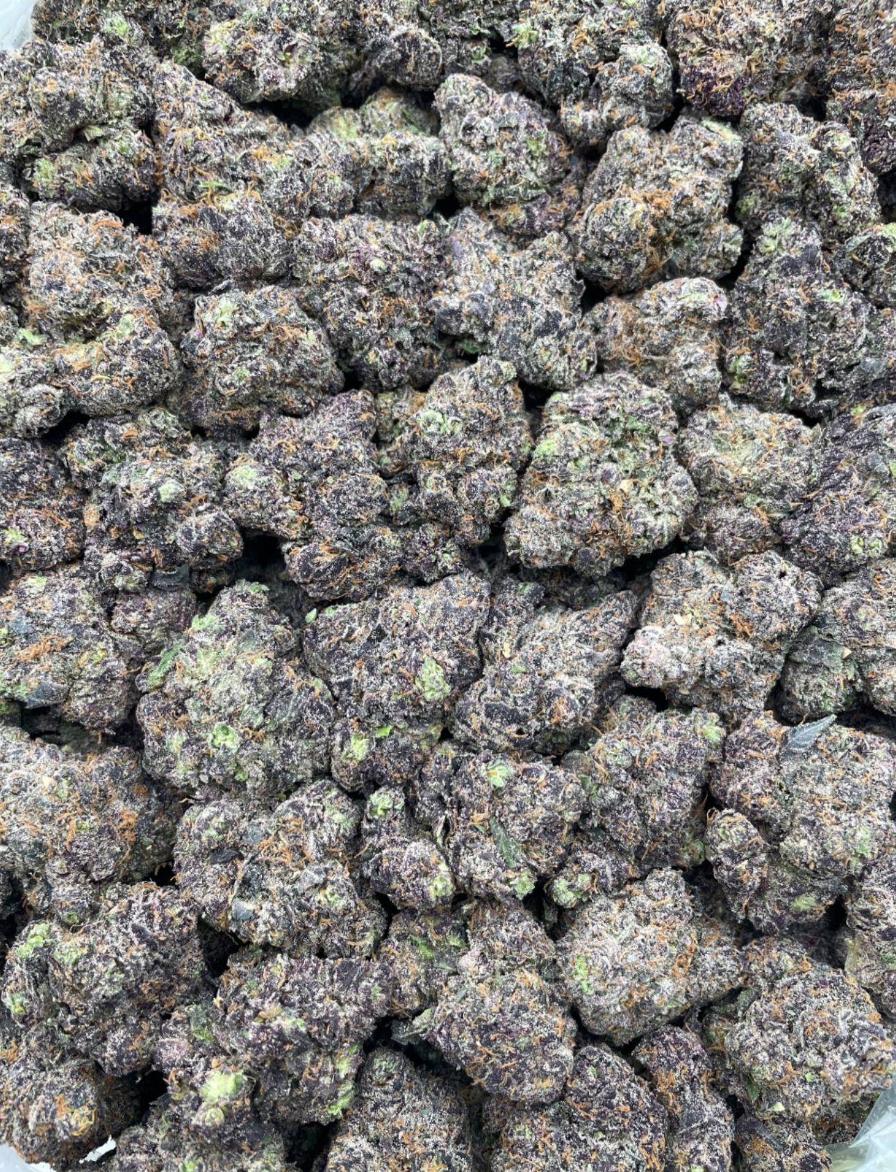 Lcg Warhead 🍒🤯🍒🤯🍒🤯🍒