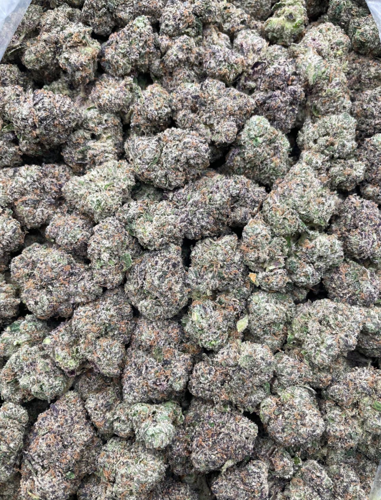 Mystery airheads 🎈✈️🍭🎈✈️🍭