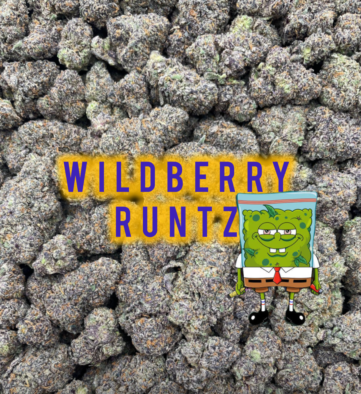Wildberry Runtz 🤓🍒🤓🍒🤓🍒