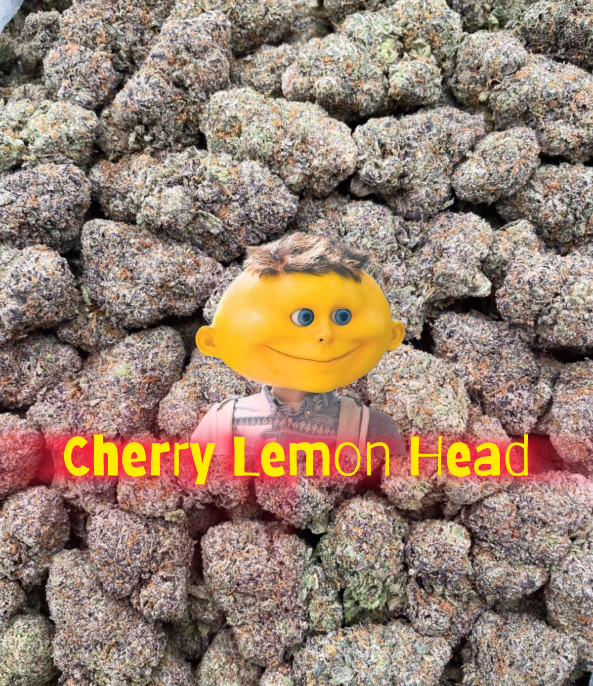 Double Cherry Lemon Head 🍒