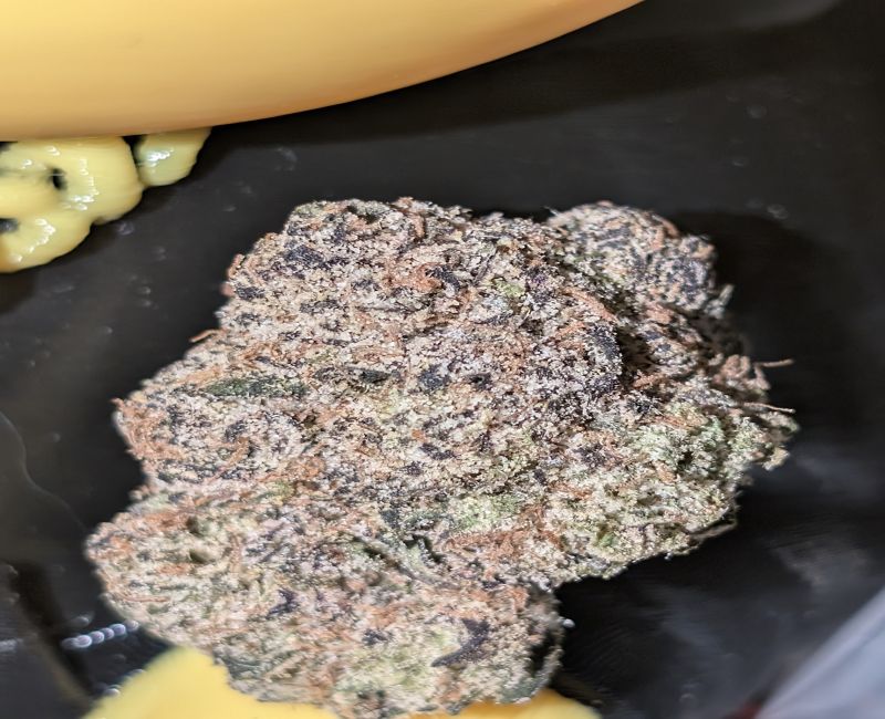 Galactic berry 🫐🛸