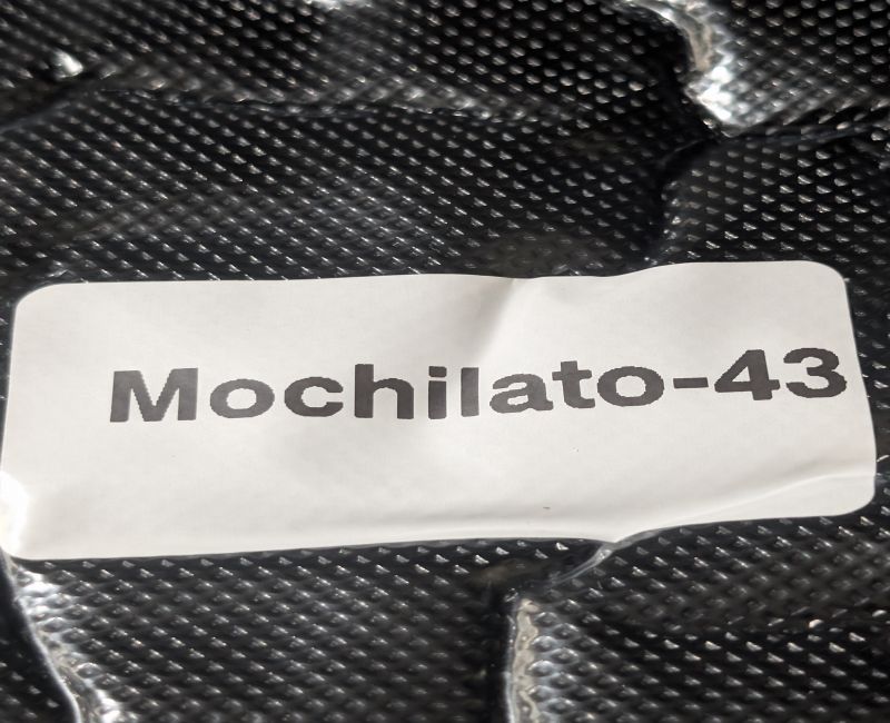 Mochilato ☕